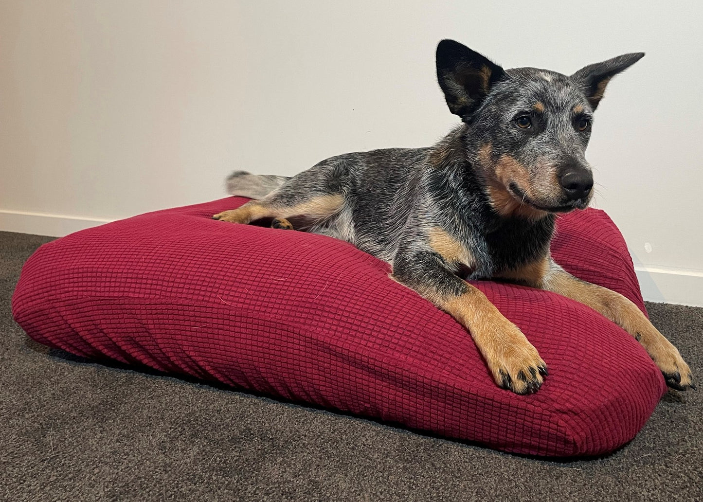 Red Burgundy Warm Dog Bed Cover Rectangular Bean Bag Bed 