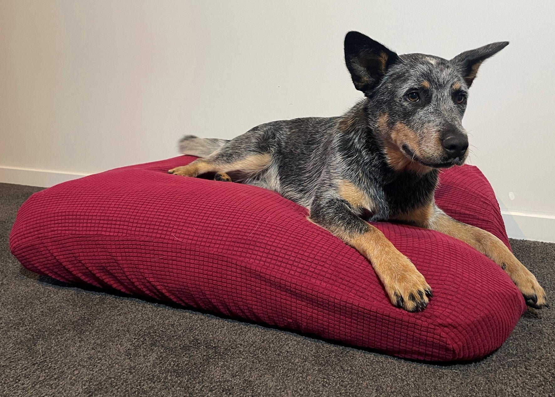 Red Burgundy Warm Dog Bed Cover Rectangular Bean Bag Bed 