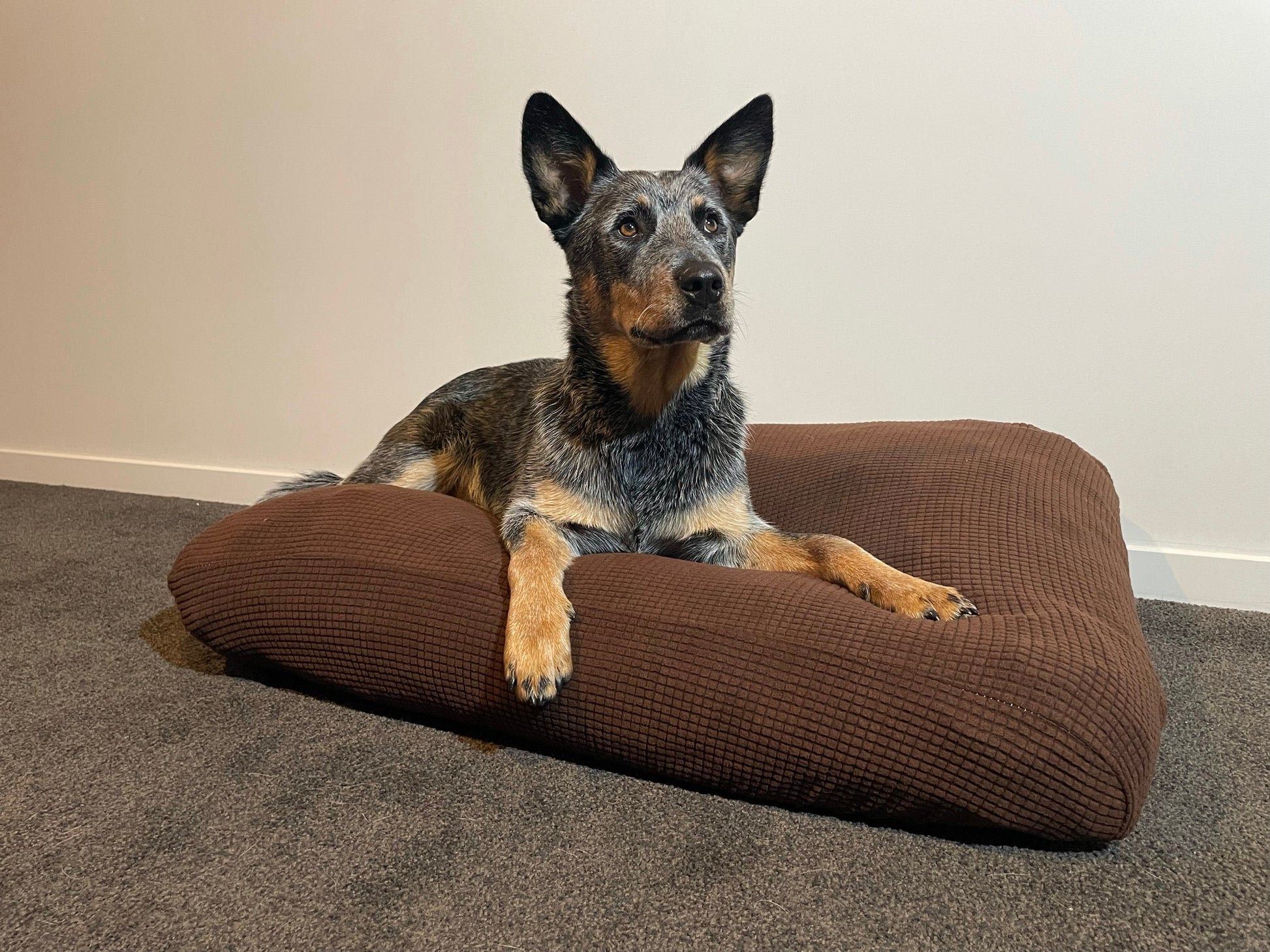 Brown Warm Dog Bed Cover Rectangular Bean Bag Bed 