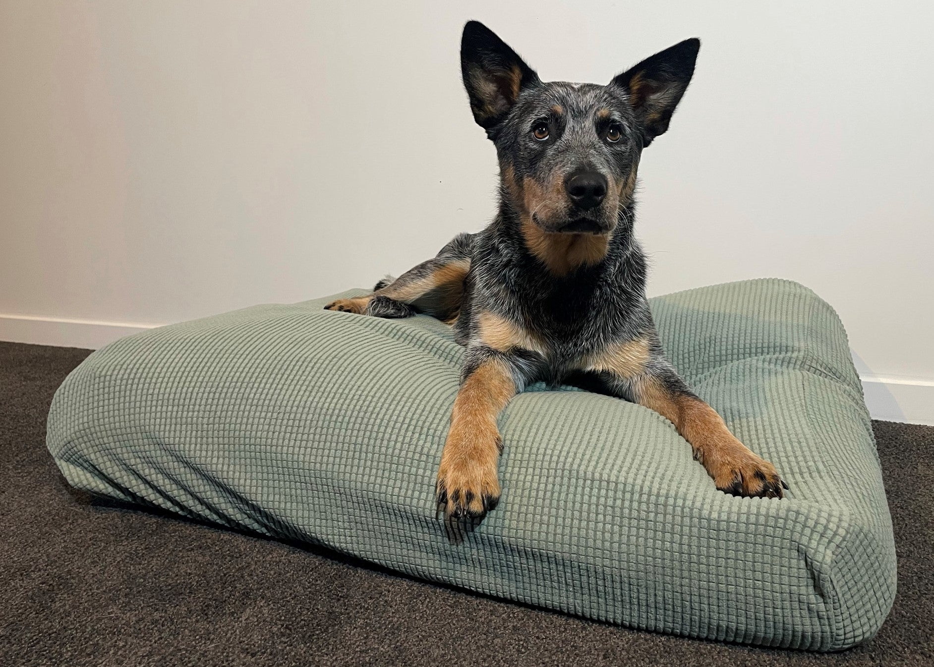 Green Warm Dog Bed Cover Rectangular Bean Bag Bed