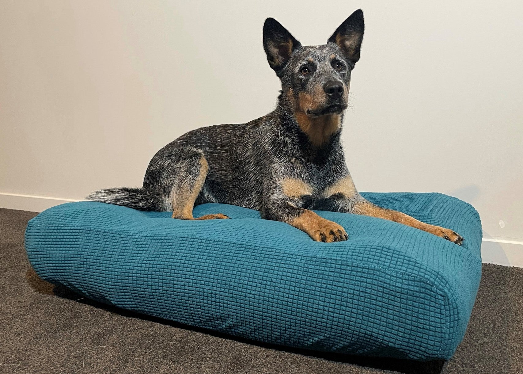 Teal Warm Dog Bed Cover Rectangular Bean Bag Bed