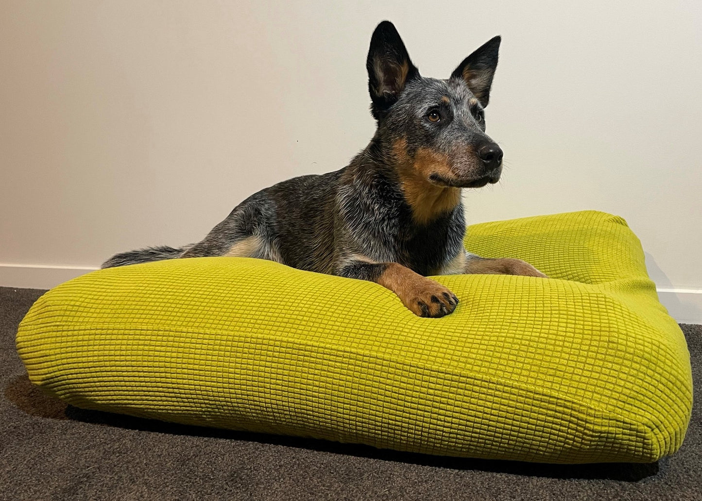 Lime Green Warm Dog Bed Cover Rectangular Bean Bag Bed