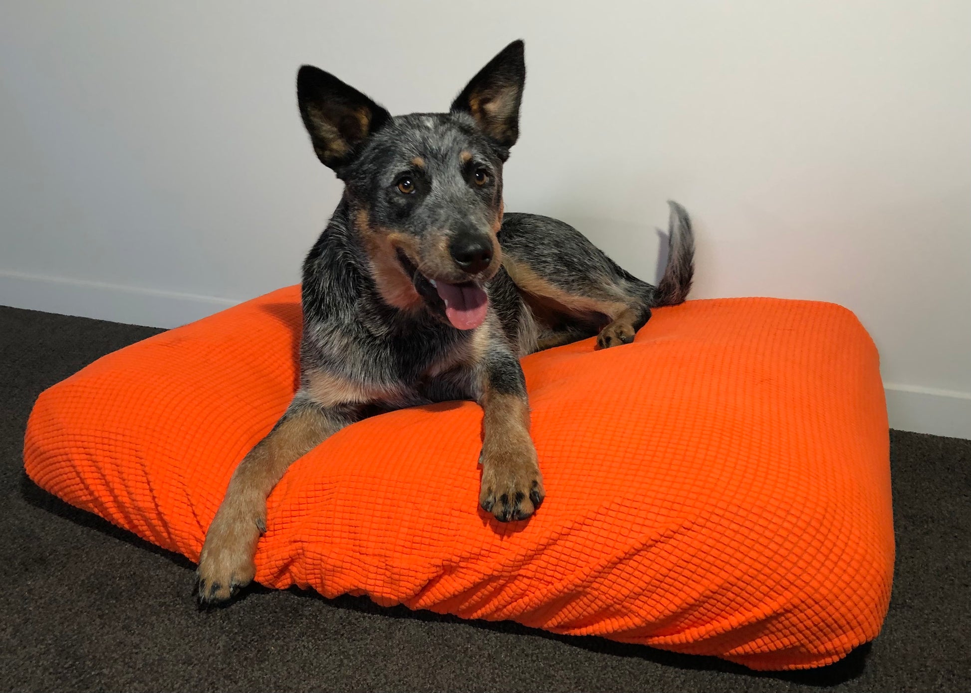 Orange Warm Dog Bed Cover Rectangular Bean Bag Bed