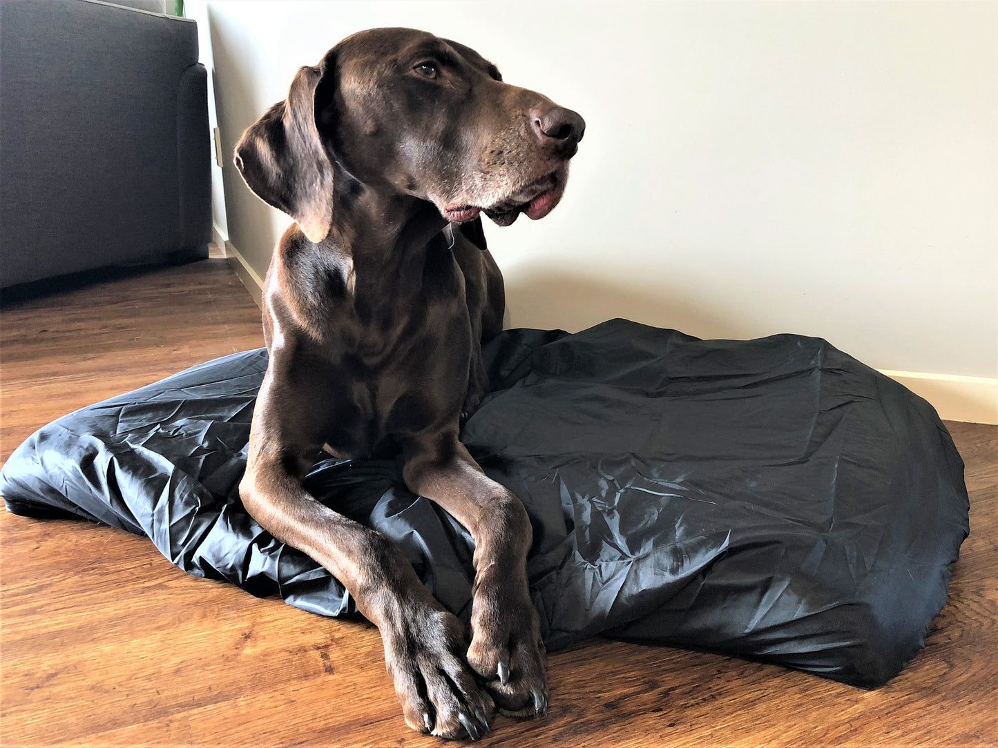 Waterproof Pet Bed Protector